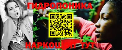 прущие грибы Краснокаменск