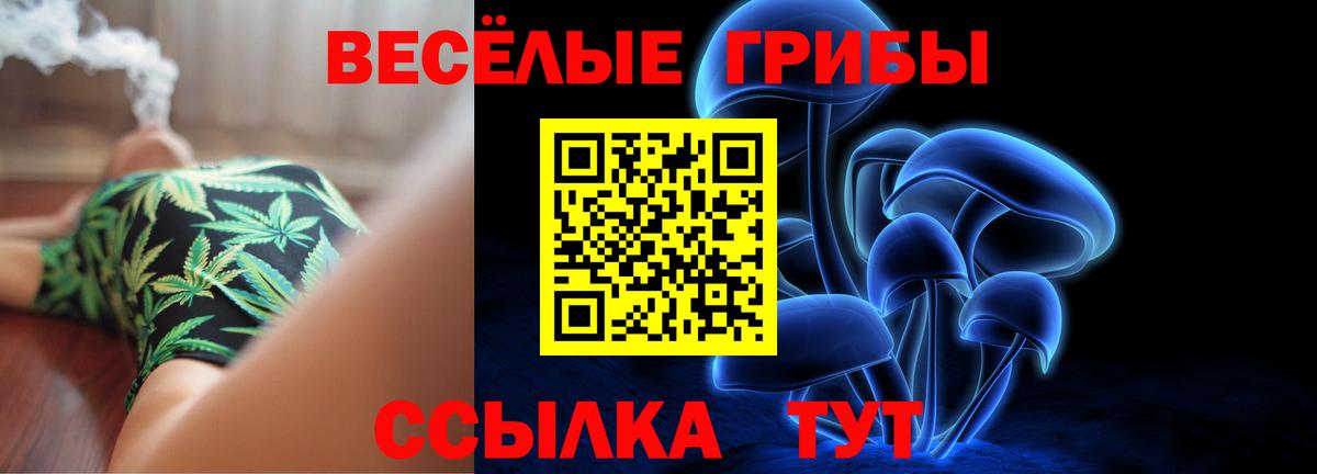 Галлюциногенные грибы ЛСД  Псилоцибиновые грибы Cubensis  купить наркоту  Вход с VPN  Шахты 